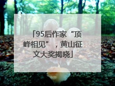 95后作家“顶峰相见”，黄山征文大奖揭晓