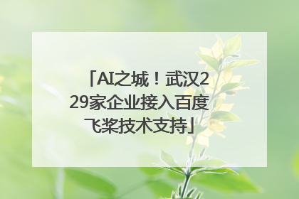 AI之城！武汉229家企业接入百度飞桨技术支持