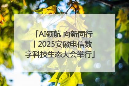 AI领航 向新同行丨2025安徽电信数字科技生态大会举行