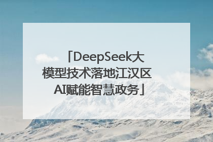 DeepSeek大模型技术落地江汉区 AI赋能智慧政务